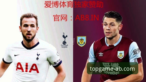 AB爱博娱乐体育平台 vs 传统投注平台：顶级赛事体验的全面对比分析